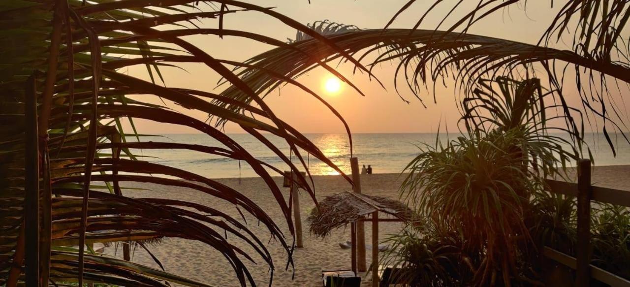Sailors' Bay Bed & Breakfast Hikkaduwa Ngoại thất bức ảnh